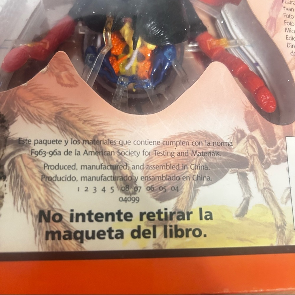 La Tarántula" Educational Book & 3D Model in Spanish by David George Gordon - Picture 5 of 7